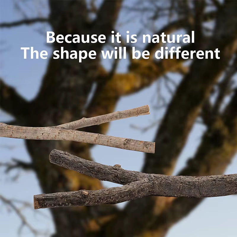 Parrot Perch Bird Cage Accessories, Bird Wooden Branches, Tree Branches, Bird Standing Rods, Standing Rods Set, Bird Toys