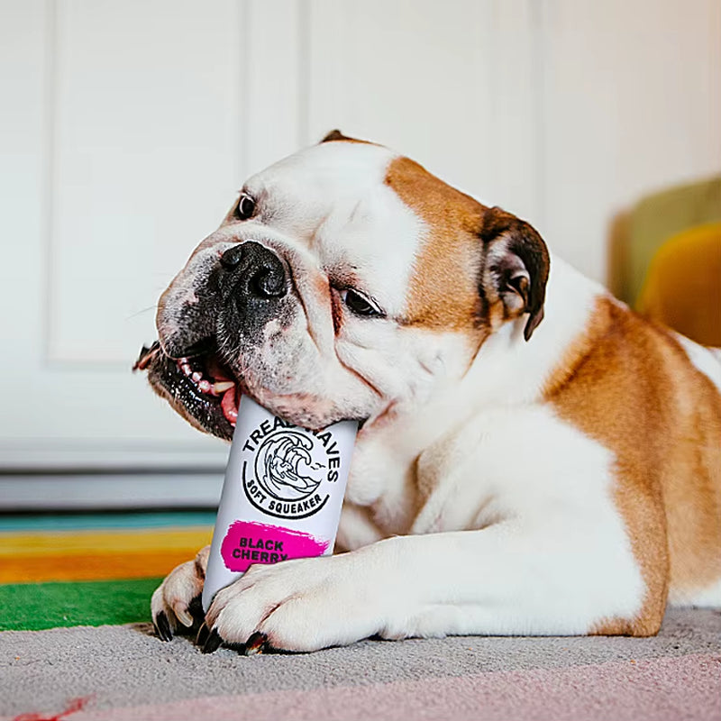Dog Vocal Toys Cans Plush Toys Beer Plush Toys Small Dogs Toys Dogs Throwing Interactive Toys Dogs Pets Accessories Puppy Stuff